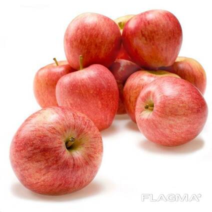 Fresh apple fruits