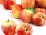 Apple - photo 2