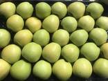 Best apples from Poland wholesale - photo 3