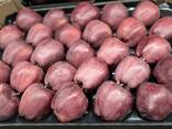 Best apples from Poland wholesale - photo 4
