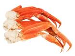 Best King Crab Legs wholesale Prince/ Norwegian Snow crab, Snow crab legs for sale - photo 7