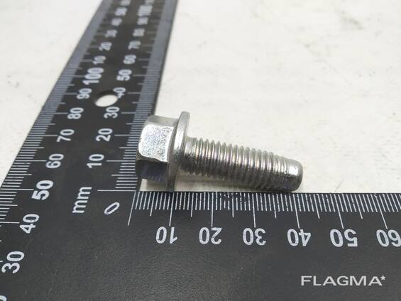 Болт HF, M10-1.5x30, [109], ZN, MAT Tesla model 3, model Y 1117931-00-A