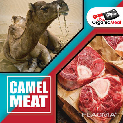 Camel Meat