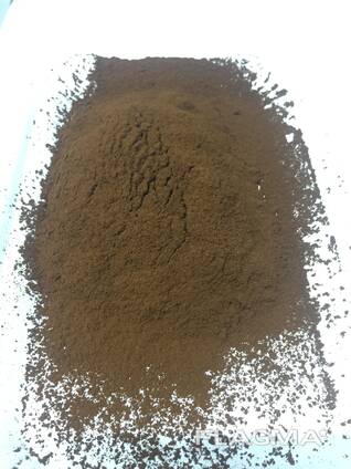 Чага сибирская