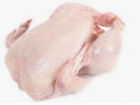 Chicken - фото 1