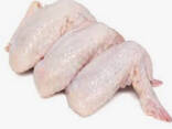 Chicken - фото 2