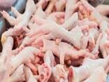 Chicken feet - фото 1