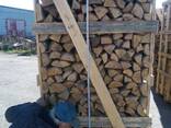Dry split firewood from oak and birch - photo 5