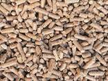 EN plus Wood Pellets A1 - photo 2