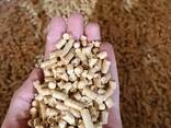 ENplus-A1 Wood Pellets / Europe Wood Pellets DIN PLUS / Wood - фото 6