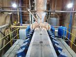 Газопоршневая электростанция (9000 квт- 100 мвт) - photo 7