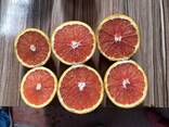 Грейпфрут - фото 1