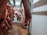 Halal meat - фото 1