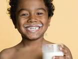 Jook piimapulbrist 26% rasva - фото 14