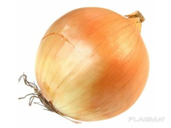 We sell onion