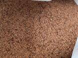 Лён Коричневый Казахстан - фото 1