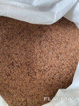 Лён Коричневый Казахстан