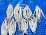 Мороженные морепродукты и рыба в Эстонию от завода из Китая - фото 3