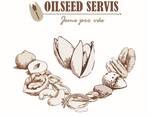 Pistachio, USA, natural / salted, US Extra N , wholesale / retail, roasting - фото 4