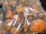 Natural Cattle /Ox Gallstones - фото 3