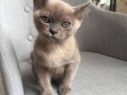 Neljas pesakond on olnud tema parim seni\