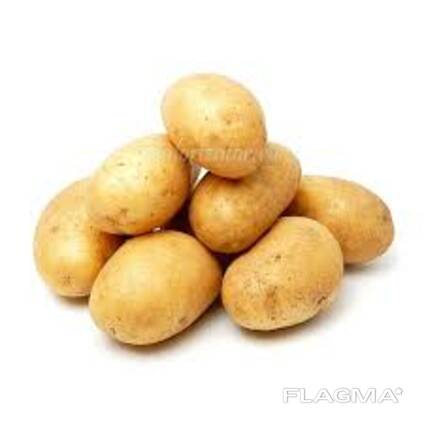 Овощи