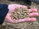 Premium Quality Wood Pellets - фото 2