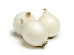 We sell onions (white) .
