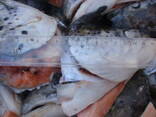 Продукты переработки лосося (Хребты, Брюшки, Головы, Куски и - фото 4