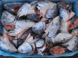 Продукты переработки лосося (Хребты, Брюшки, Головы, Куски и - фото 1
