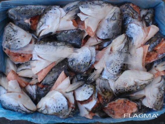 Продукты переработки лосося (Хребты, Брюшки, Головы, Куски и