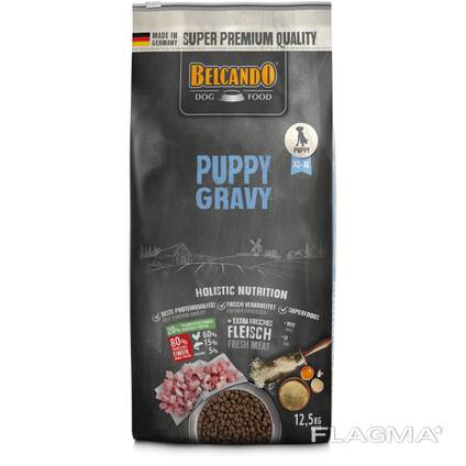 RAKONDA INTERNET-ZOO BELCANDO PUPPY 12,5 KG