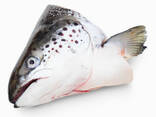 Salmon heads - фото 1