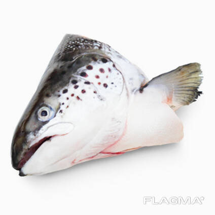 Salmon heads
