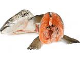 Salmon heads - фото 2