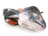Salmon heads - фото 3