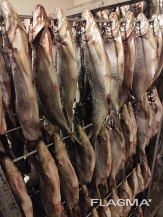 Свежая и мороженная рыба