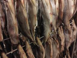 Свежая и мороженная рыба