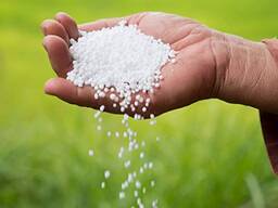 Urea Fertilizer N 46% Granular at The Competitive Price