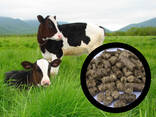 Vegetable straw pellets for animals alternative to straw bedding - photo 1