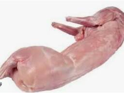 We sell frozen and chilled rabbit carcasses