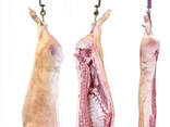 Wholesale Quality Frozen Pork belly / 80-20 Pork trimming/ Pork collar / pork shoulder Mea - фото 2