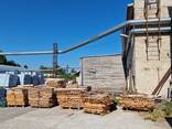 Wood Processing Company with Full Infrastructure - фото 12