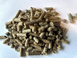 Жом свекловичный гранулированный